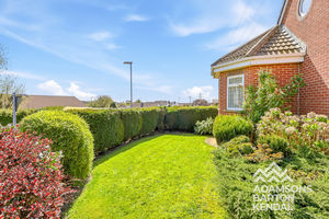 Photo 50- click for photo gallery